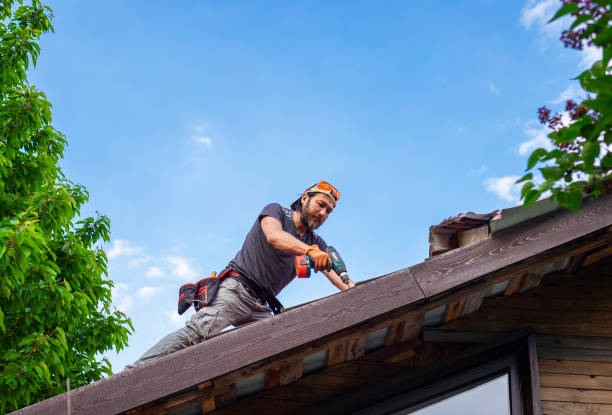 Best Skylight Installation and Repair  in Cleveland, FL